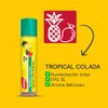 Carmex, Bálsamo Labial Hidratante Daily Care Tropicalcolada, Protege y Suaviza,
