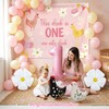 Chicken 1st Birthday Party Decoration The Chick Is One Birthday
