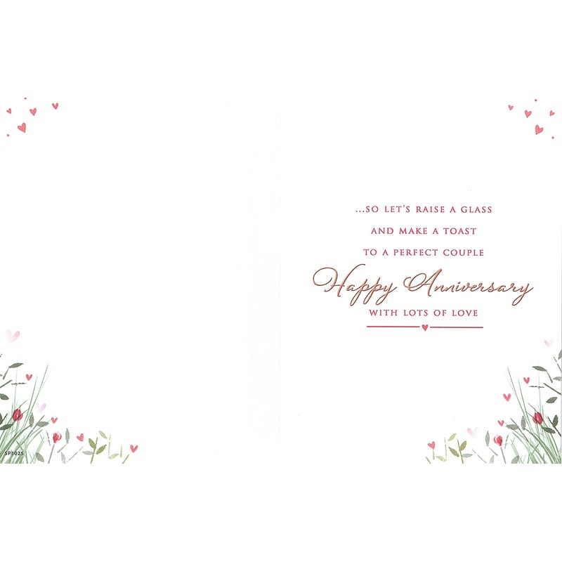 To A Special Sister and Brother in law Anniversary Card