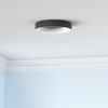 Annaror RGB Led Flush Mount Ceiling Light with Remote Control,