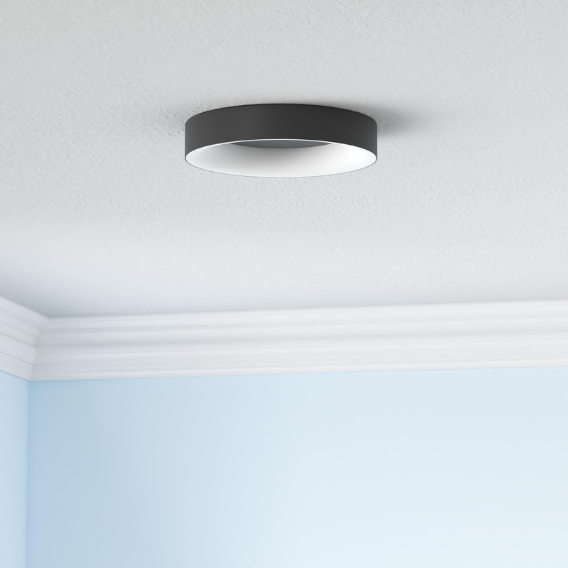 Annaror RGB Led Flush Mount Ceiling Light with Remote Control,