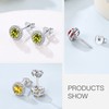 Suplight Crystal Earrings 925 Sterling Silver Birthstone Round Heart Pear