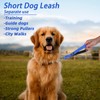 PUPTECK Chew Proof Dog Leash for Small Medium Large Dogs,