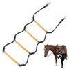 Buddy Climbing Stirrup 4 Step for Kids, Heavy Duty Nylon