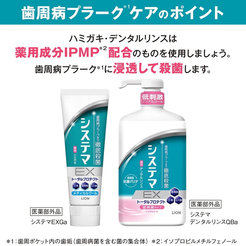 システマハブラシ 超コンパクト ストレートハンドル ふつう セット 6本 +exハミガキ