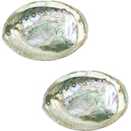 2 Pcs Large Abalone Shell Bowl 4-4.5 Inch Colorful Natural Smudge Bowl for Sage Burning and Incense Sea Shell Smudging Bowl for Decor and Display, Incense Holders