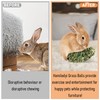 Hamiledyi 4PCS Bunny Chew Grass Balls Rabbit Chew Toys Rolling