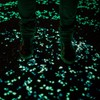 Gadpiparty Decoraciones para Uñas 100pcs Glow in The Dark Pebbles