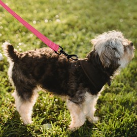 Mile High Life Heavy Duty Dog Leash for Large and Medium Dogs, Reflective Leash for Night Safety, Strong and Durable Leashes for Walking and Training (4FT x 1''Wide, Hot Pink)