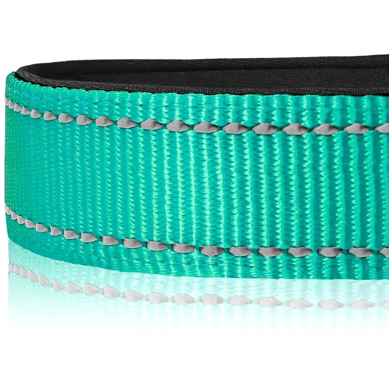 Joytale Reflective Dog Collar, Soft Neoprene Padded, Metal D-Ring, Nylon