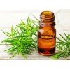 Aceite Esencial De Árbol De Té 100% Puro 20ml
