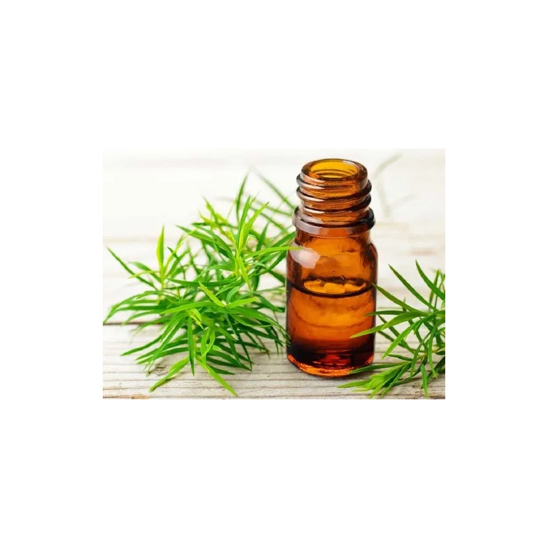 Aceite Esencial De Árbol De Té 100% Puro 20ml