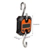 Digital Fishing Scale Multifunction 0.2kg to 100kg Portable Electronic Hook