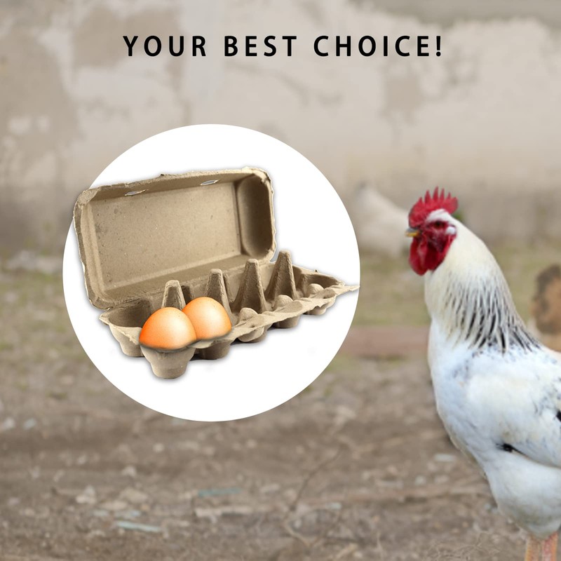 Egg Box Egg Boxes Pack of 10 Cardboard Pack of