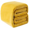 Fleece Blankets for All Season - Premium Lightweight Anti-Static Throw