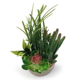 allgala Small Desktop Artificial Combination Succulent Plant Group with Natural Clay Pot