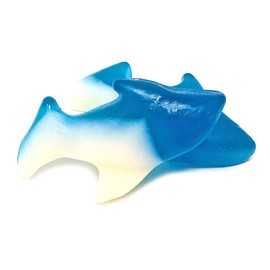 SweetGourmet Popsicle Blue Gummy Sharks | Bulk Candy | 1 Pound