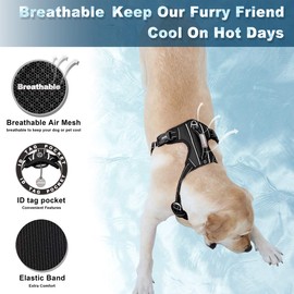 BARKBAY No Pull Dog Harness Front Clip Heavy Duty Reflective Easy Control Handle for Large Dog Walking with ID tag Pocket(Ocean Blue,M)