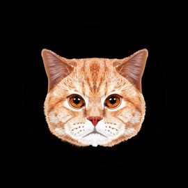 SIQUK DND Dice Set of 7 Dice Game Dice Liquid Core Dice Polyhedral Dice Set with Gift Box for Dungeons and Dragons RPG MTG