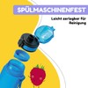 schmatzfatz Leak-Proof Sports Drinking Bottle, BPA-Free, 500 ml, Fruit Insert,
