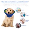 kissral Collar for Dogs, Adjustable Protective Collar, Lightweight Cone Collars,