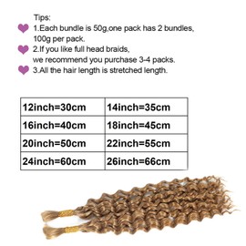 DSEKCAIN Double Drawn Bulk Human Hair for Braiding No Weft Only Hair for Micro Braids Crochet Hair for Bohemian Box Braids 100 Grams (2 of 50 g) 20 inch Water Wave #27