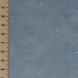Windham Fabrics Water Condensation Blue Fabric Blender WINDHAM Quilters Cotton HALF YARD BTHY