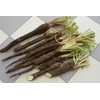 Seeds Salsify Black Root Scorzonera Heirloom Vegetable for Planting Non