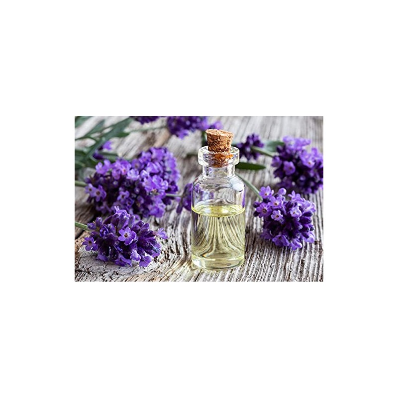 Lavender Essential Oil Massage Oil Blend - Bulk 1 Gallon