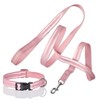 Pet Passion 2-Pack MAX - The Hardy Reflective Dog Collar