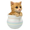 Figuren Shop GmbH Cat in Flower Pot - Orange Tabby