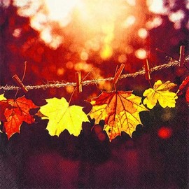 20 Napkins Autumn Leaves in Sunshine as Table Decoration for Autumn 33 x 33 cm