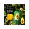 Shampoo Sin Sal Aguacate 865 ml Bio:Renew Herbal Essences