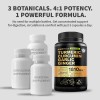 Suplemento Nutricional Cúrcuma Liposomal MedChoice 120 Cápsulas