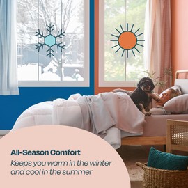 LINENSPA White Down Alternative Comforter and Duvet Insert - All-Season Comforter with Box Stitch and 8 Duvet Loops - Bedding for Kids, Teens, and Adults - Queen