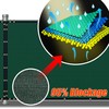 Amgo 5' x 50' Green Fence Privacy Screen Windscreen,with Bindings