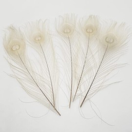 Natural Peacock Feathers for Craft Feather Mask Making Decoration Pack of 20pcs (Off-White)