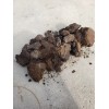 dried cow dung manure 8 lbs. 100% Natural Cow Dung