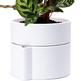 Phoenix Vine 8 Inch Self-Watering Planter Pot with Terracotta Insert, Deep Water Reservoir, and Ceramic-Alike BPA-Free Plastic Planter Pot for Plant, Modern Planter for Houseplants, White, 53-A-T-1