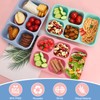 Shopwithgreen Reusable 5 Compartment Bento Box Container Lunch Boxes, Snack