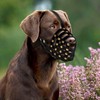 OOPSDOGGY Labrador Dog Muzzle for Large Dogs - Leather Breathable