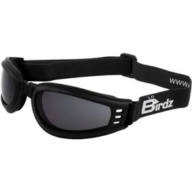 Birdz Eyewear Cardinal Foam Padded Folding Motorcycle Goggles Black Frame with Smoke Lens