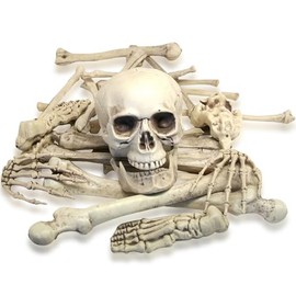 Fun Express Bag of Skeleton Bones - 28 Piece Set