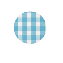 NATUS WEAVER Sky Blue & White Cotton Buffalo Check Round Placemat, Set of 4, 15 Inch eco-Friendly Fabric Handcrafted Machine Washable Indoor & Outdoor Tablemat