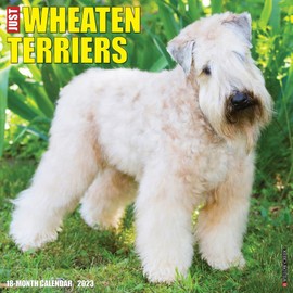 Just Wheaton Terriers 2023 Wall Calendar