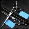 Professional Hairdressing Scissors 6 Inch Scissors Haircut Scissor Thinning Barber
