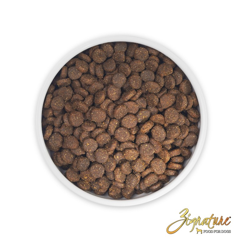 Zignature Select Cuts Trout & Salmon Formula Dry Dog Food