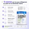 BioHerb® | Glicinato de Magnesio Quelado 500 mg con 180