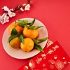 24Pcs Chinese Hong Bao Red Envelopes, Large Size Greetings Chinese