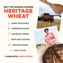 Sunrise Flour Mill Heritage Whole Wheat Bread Blend - 5 lb | USDA Organic All Purpose Flour Unbleached - Non-GMO, Kosher, Glyphosate Free, Ancient Grains, Bread Flour Organic.
